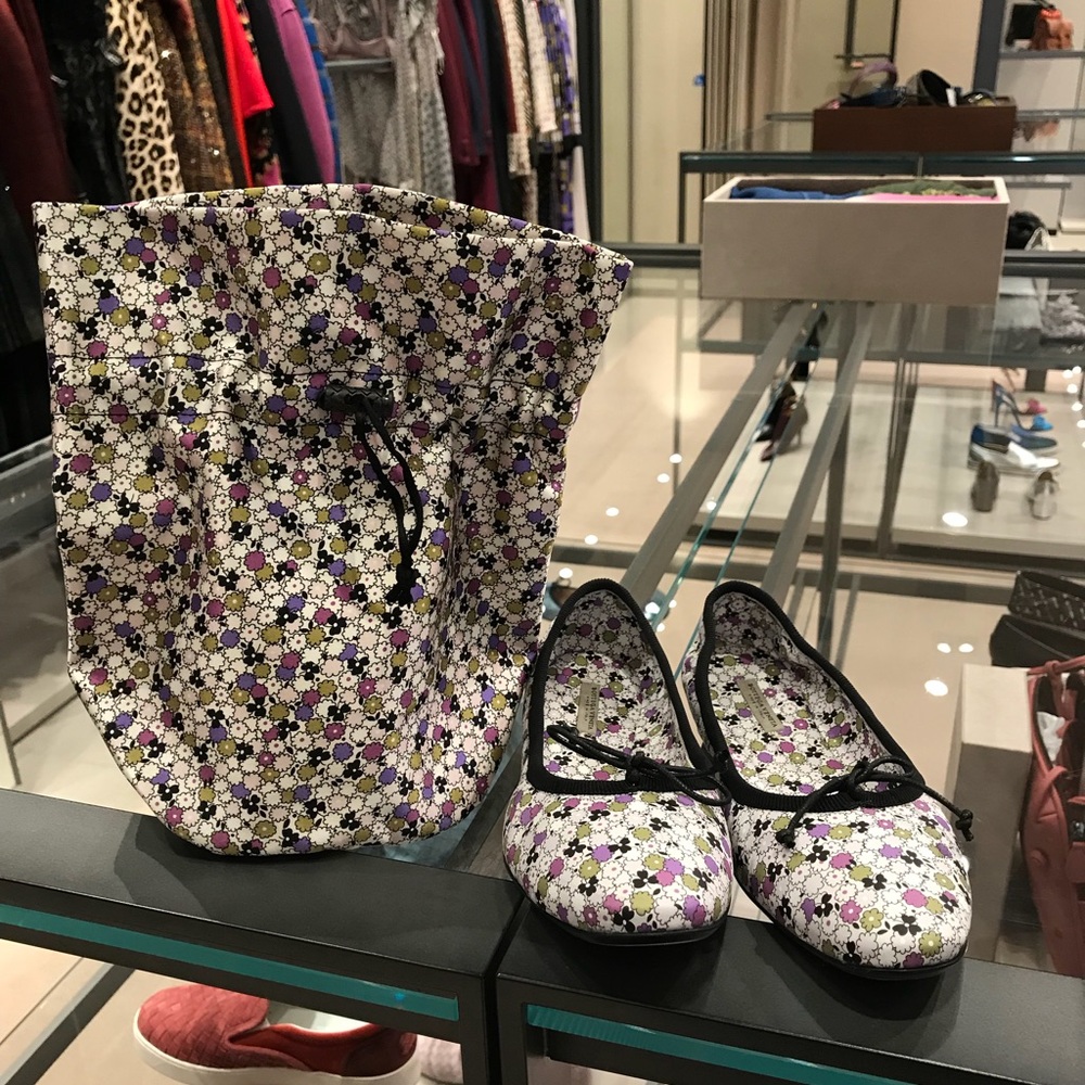 Bottega Veneta flats with bag New in box